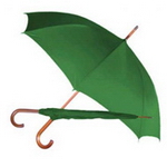 Economy Rain Umbrella , Umbrellas